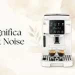 magnificastartnoise
