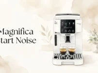 magnificastartnoise