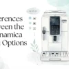 Differences Between the 6 Dinamica Menu Options
