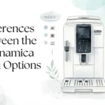 Differences Between the 6 Dinamica Menu Options