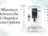 Differences Between the 6 Dinamica Menu Options
