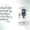 How much are the annual maintenance costs for the Dinamica