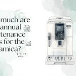 How much are the annual maintenance costs for the Dinamica