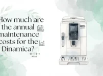 How much are the annual maintenance costs for the Dinamica