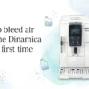 How to bleed air from the Dinamica for the first time