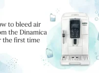How to bleed air from the Dinamica for the first time