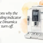 Reasons why the Descaling indicator on the Dinamica won't turn off