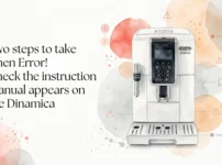 Two steps to take when Error! Check the instruction manual appears on the Dinamica
