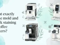 What exactly is the mold and black staining in coffee makers