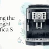Draining the De'Longhi Magnifica S